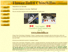 Tablet Screenshot of flowertownchinchillas.ca